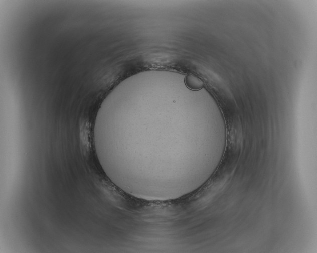 X0000111361346200907311004
