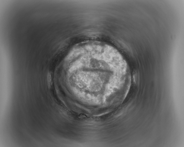 X0000111361347200907311004