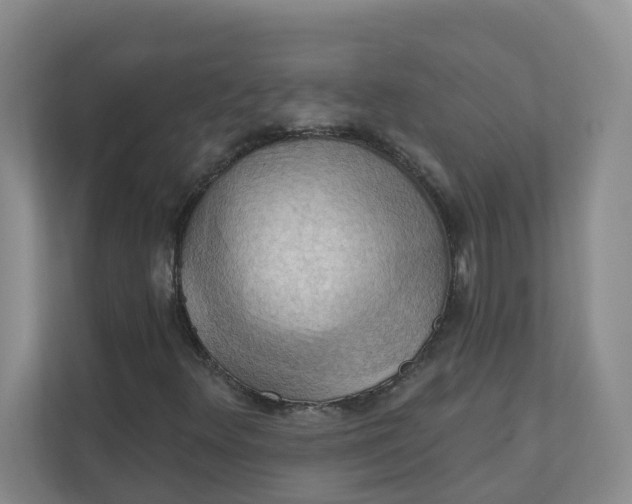 X0000111361348200907311004