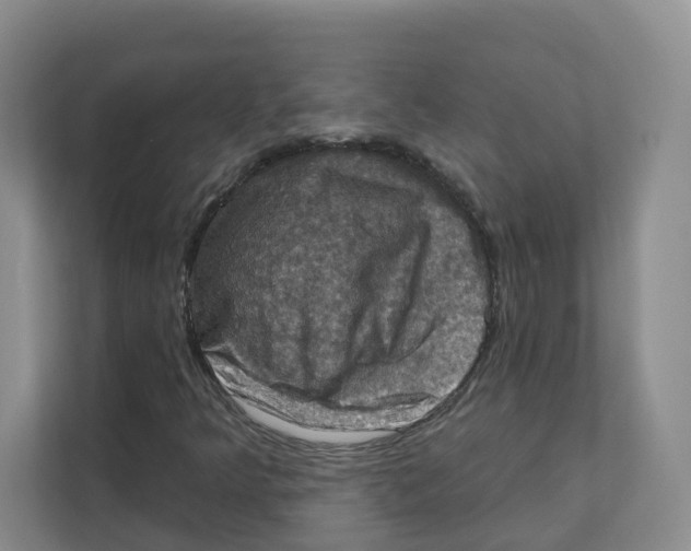 X0000111361349200907311004