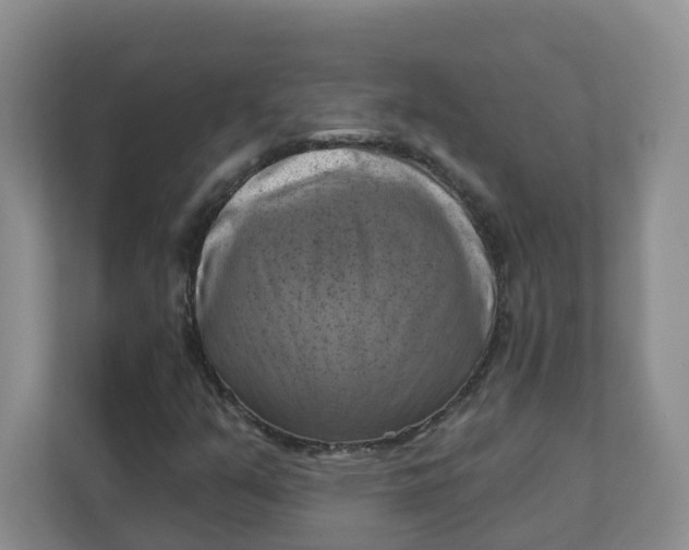 X0000111361351200907311004