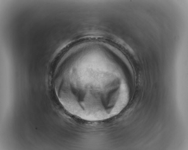 X0000111361352200907311004