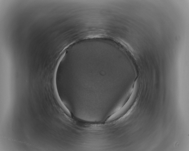X0000111361353200907311004