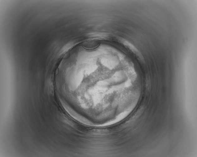 X0000111361354200907311004