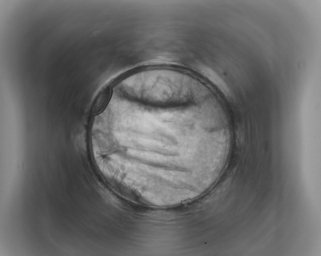 X0000111361356200907311004