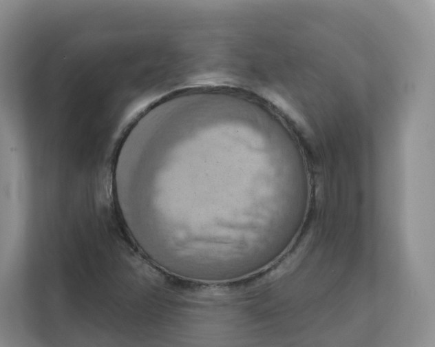X0000111361358200907311004