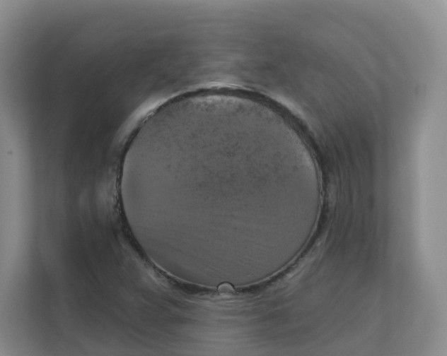 X0000111361359200907311004