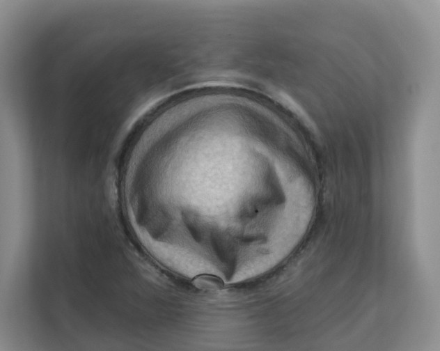 X0000111361360200907311004