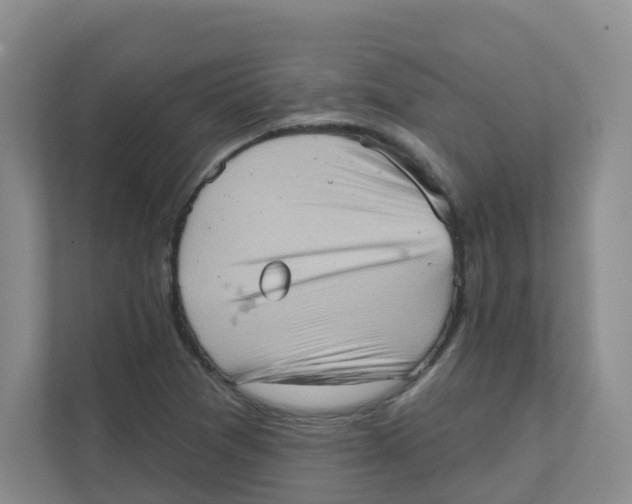 X0000111361361200907311004