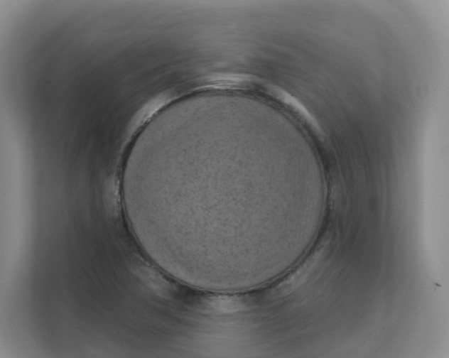 X0000111361362200907311004