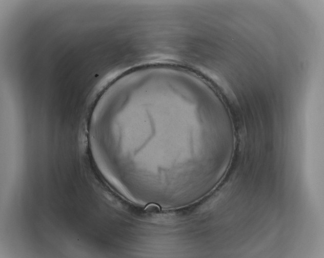 X0000111361363200907311004