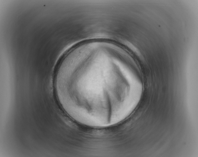 X0000111361364200907311004