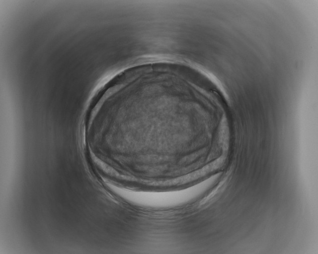X0000111361365200907311004