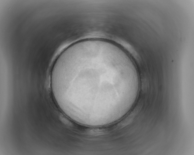 X0000111361366200907311004