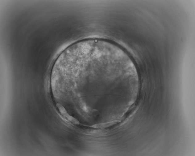 X0000111361367200907311004