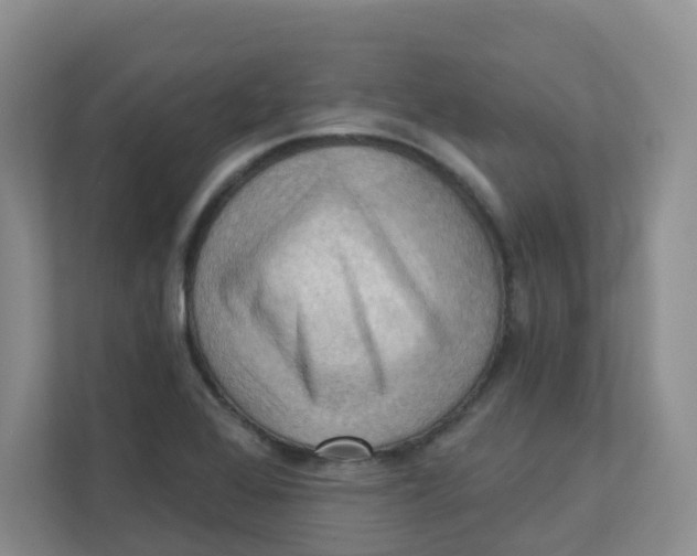 X0000111361368200907311004