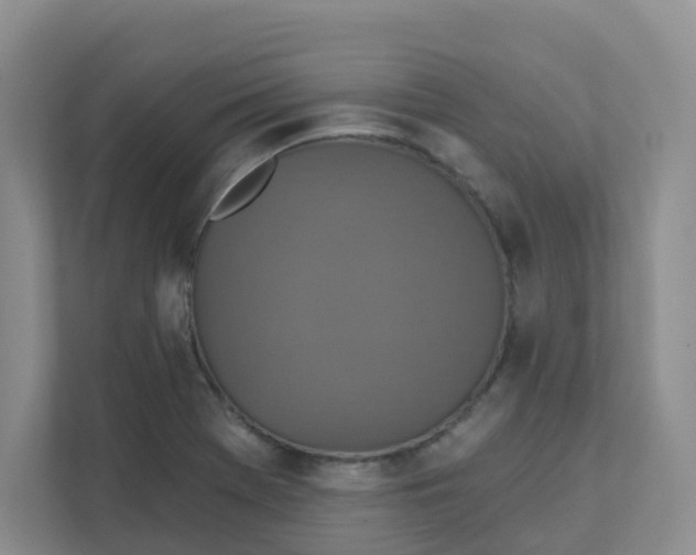 X0000111361369200907311004