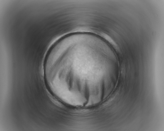 X0000111361372200907311004