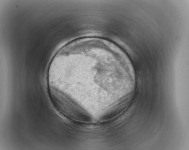 X0000111361375200907311004