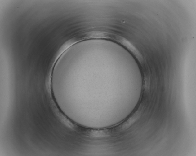 X0000111361378200907311004