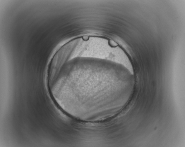 X0000111361379200907311004