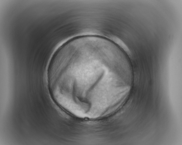 X0000111361380200907311004