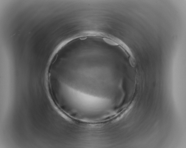 X0000111361381200907311004