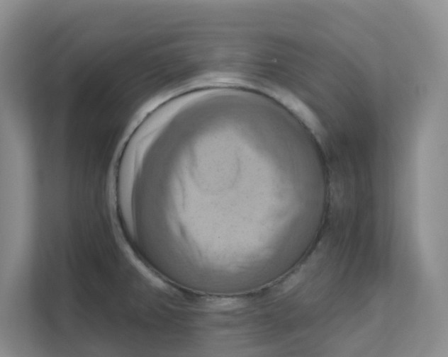 X0000111361382200907311004