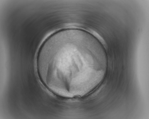 X0000111361384200907311004