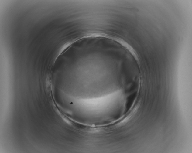 X0000111361385200907311004