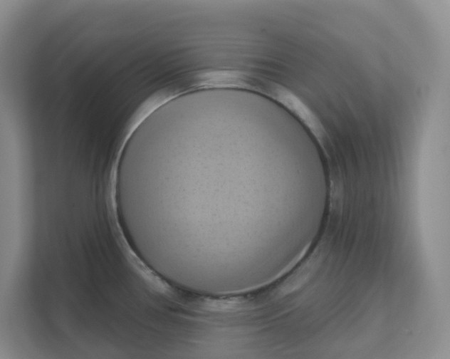 X0000111361386200907311004