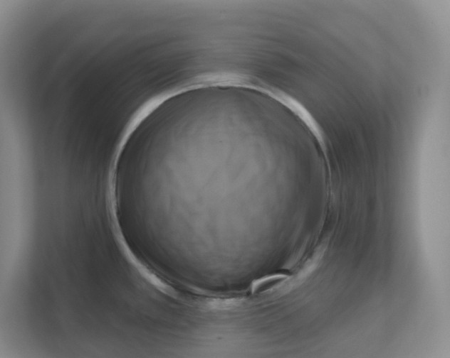 X0000111361389200907311003