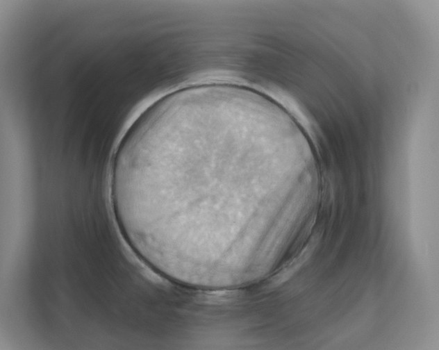X0000111361390200907311003