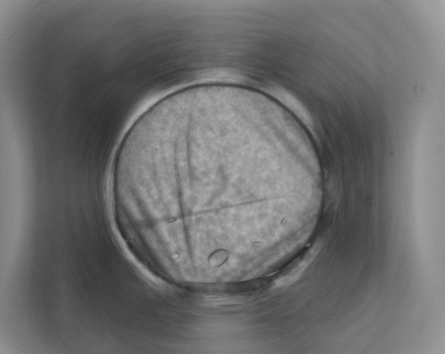 X0000111361391200907311003