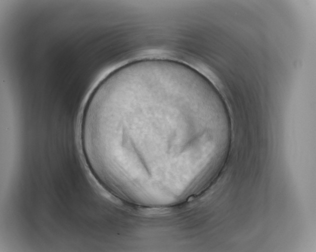 X0000111361392200907311003