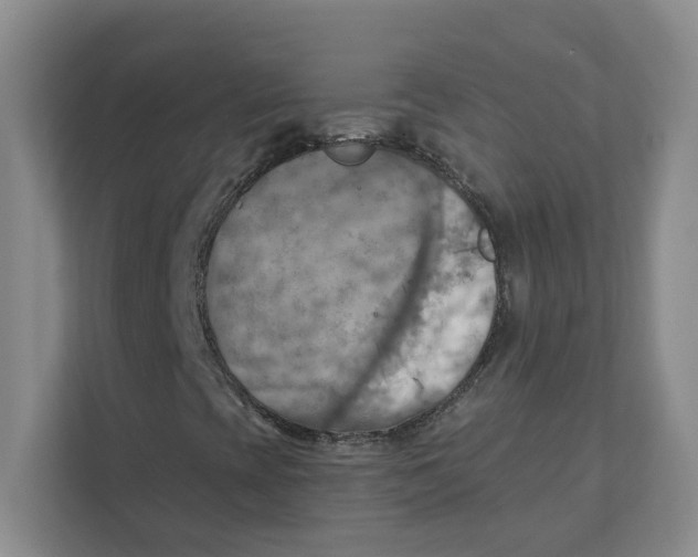 X0000111361393200907311003