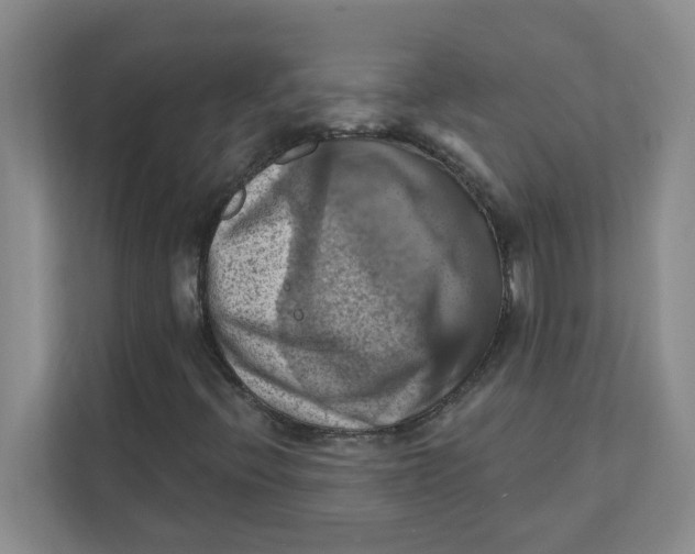 X0000111361396200907311003