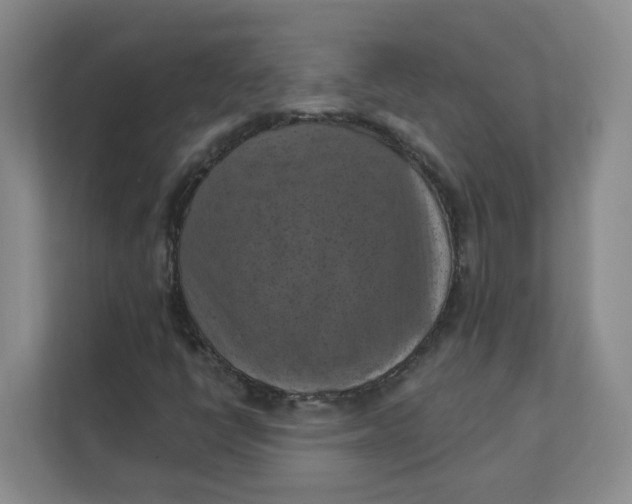 X0000111361398200907311003