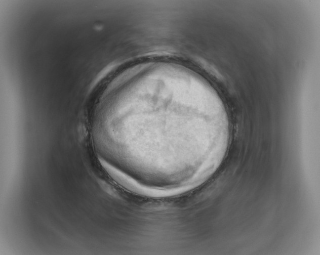 X0000111361400200907311003