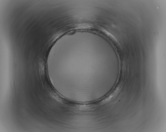 X0000111361401200907311003