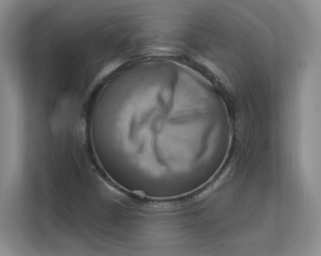 X0000111361402200907311003