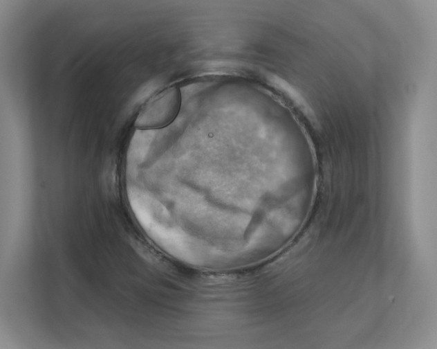 X0000111361403200907311003