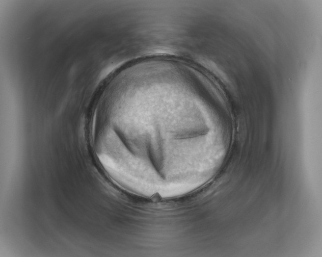 X0000111361404200907311003