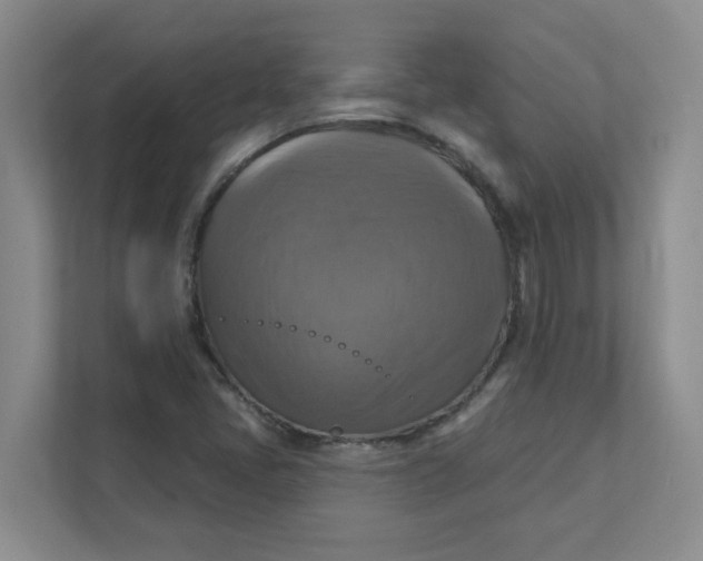 X0000111361405200907311003