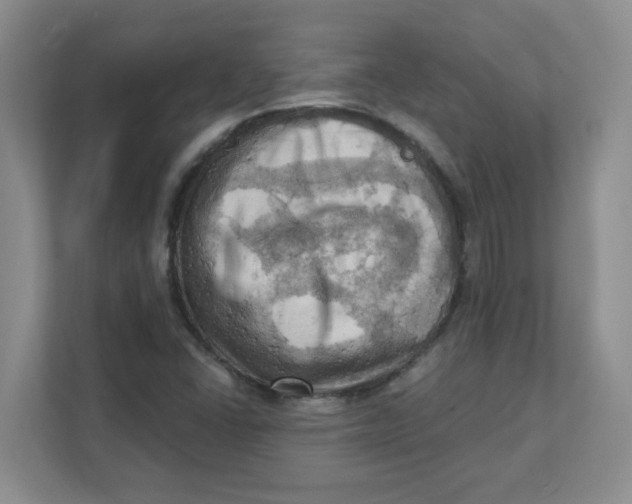 X0000111361406200907311003