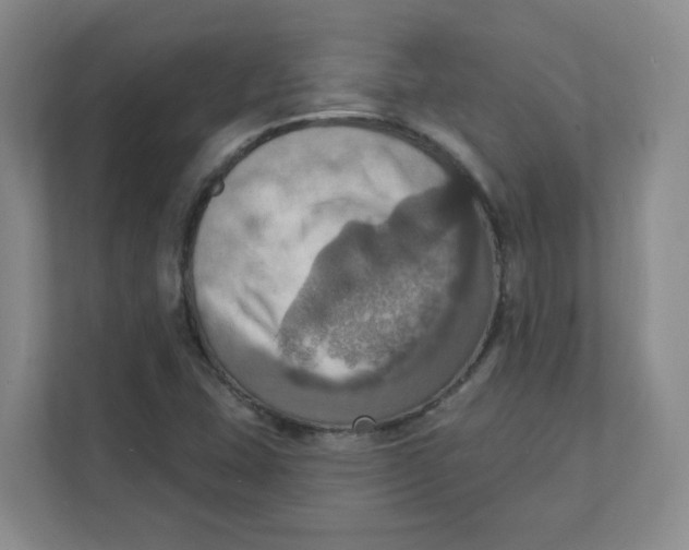 X0000111361407200907311003