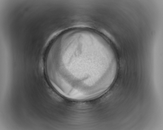X0000111361408200907311003