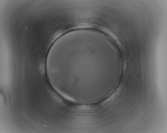 X0000111361409200907311003