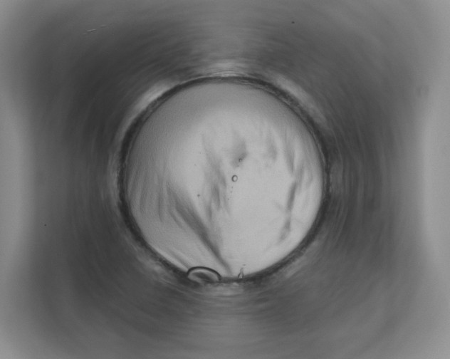X0000111361410200907311003