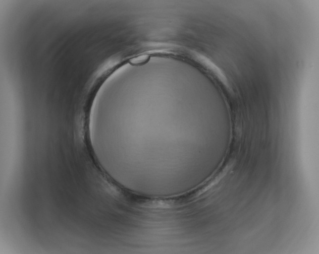 X0000111361411200907311003